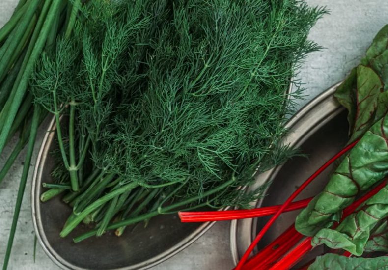 Top view of fresh dill, green onions, and Swiss chard displayed on a table.